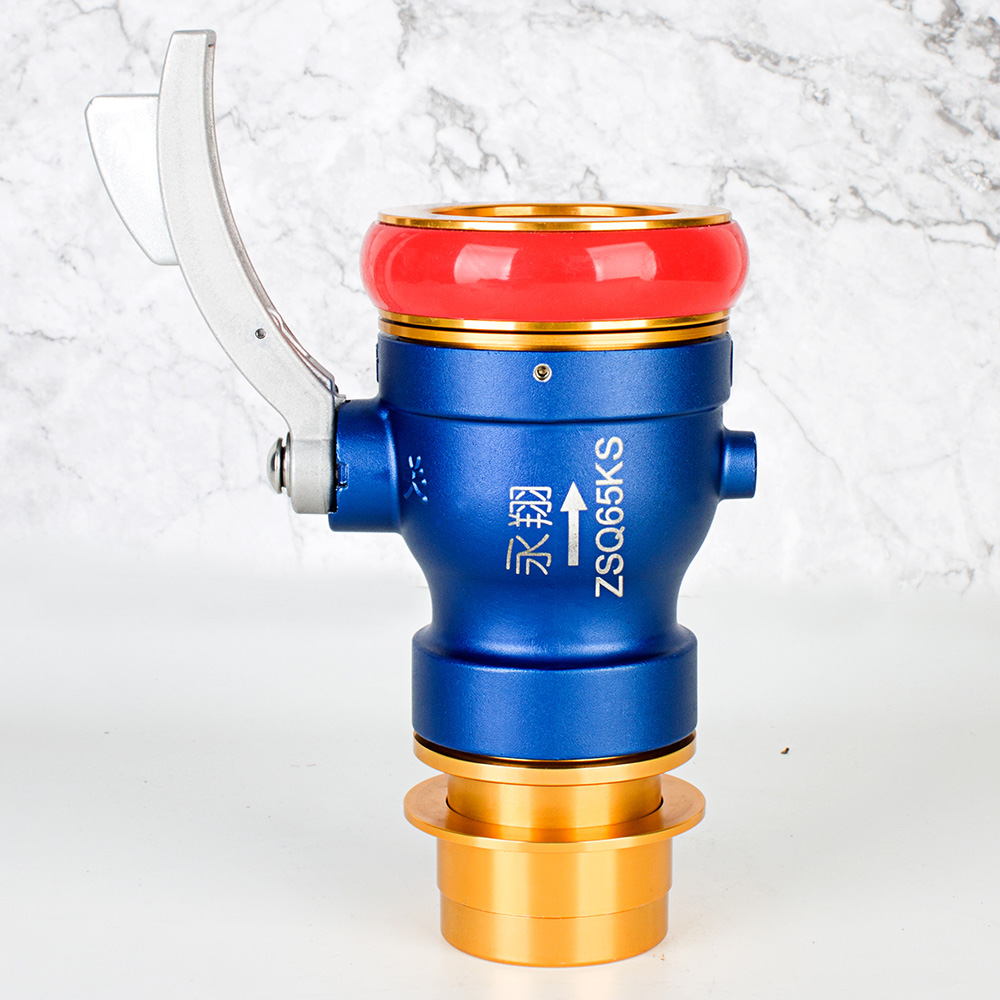 ZSQ65KS 卡式止水器（带锁）